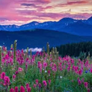 Meet your Posher, Jonah